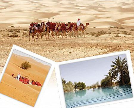 محمية دبي الصحراوية المنضمة لعضوية الاتحاد العالمي صورة رقم 5