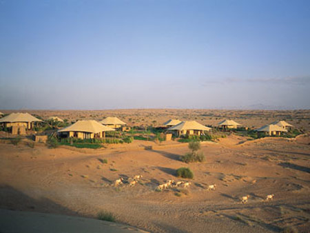 محمية دبي الصحراوية المنضمة لعضوية الاتحاد العالمي صورة رقم 3