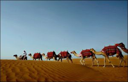 محمية دبي الصحراوية المنضمة لعضوية الاتحاد العالمي صورة رقم 8