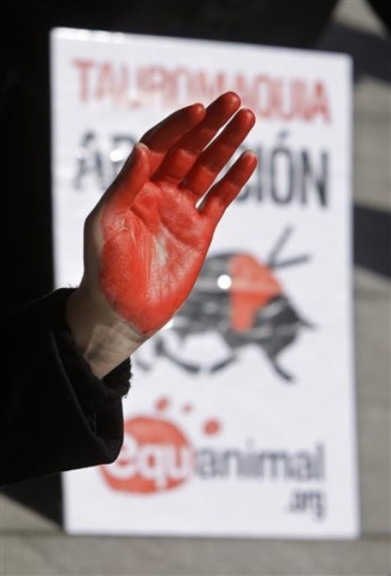 إسبانيا: أجساد  منزوعةللدفاع عن مصارعة الثيران!!   صورة رقم 2