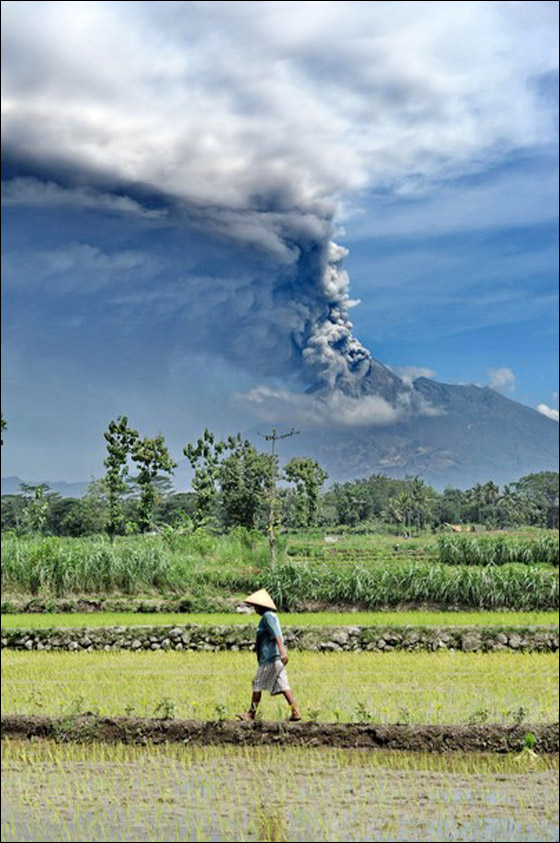 ارتفاع عدد ضحايا بركان اندونيسيا الى 206!   صورة رقم 11