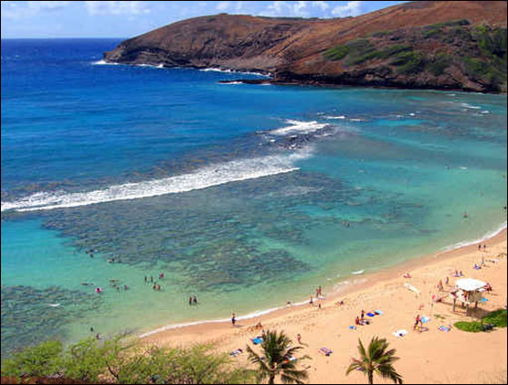 فرفش يصطحبكم بجولة الى جزيرة هاواي  صورة رقم 10