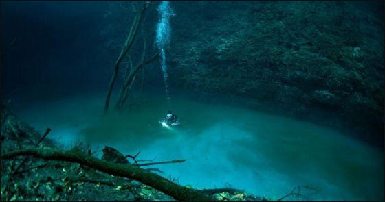 مذهل.. اكتشاف نهر يجري تحت سطح البحر بالمكسيك!!   صورة رقم 3