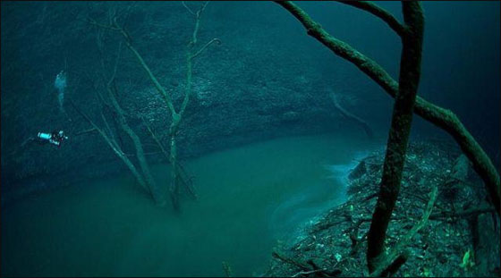 مذهل.. اكتشاف نهر يجري تحت سطح البحر بالمكسيك!!   صورة رقم 4