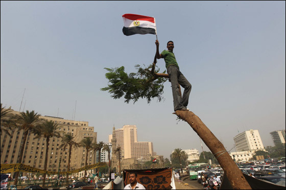 مصر: احمد شفيق يعلن فوزه بالانتخابات ومرسي يحتفل بالفوز صورة رقم 24
