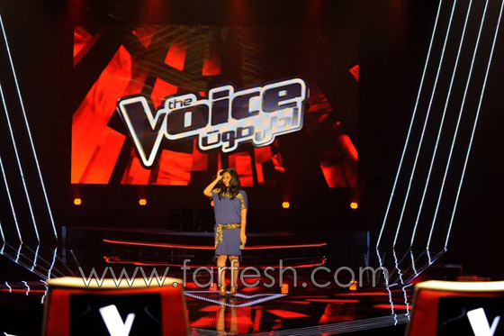    5 - The Voice:        
