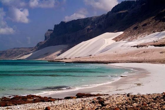 بالفيديو.. عجائب واسرار طبيعة جزيرة سوقطرة اليمنية صورة رقم 5