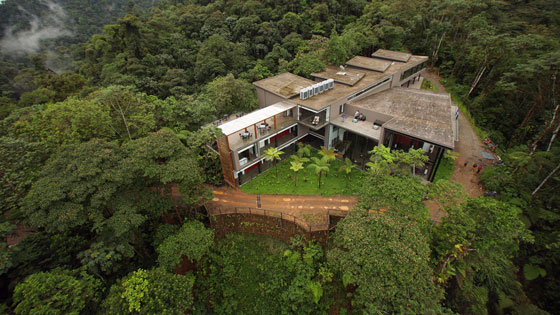 فيديو.. فندق 5 نجوم وسط غابات ممطرة للاسترخاء في الأكوادور صورة رقم 8