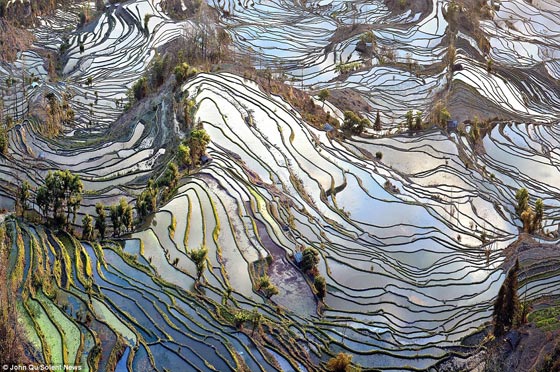 بالصور.. حقول الارز العشوائية ترسم لوحة فنية أخاذة في الصين صورة رقم 2