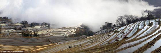 بالصور.. حقول الارز العشوائية ترسم لوحة فنية أخاذة في الصين صورة رقم 4