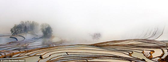 بالصور.. حقول الارز العشوائية ترسم لوحة فنية أخاذة في الصين صورة رقم 5