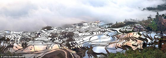 بالصور.. حقول الارز العشوائية ترسم لوحة فنية أخاذة في الصين صورة رقم 6