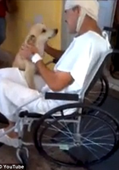 فيديو.. كلب ينتظر صاحبه المريض 8 ايام عند باب المستشفى صورة رقم 2