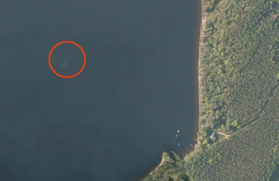 هل هذه صور وحش بحيرة (لوخ نيس) الاسطوري؟ صورة رقم 2