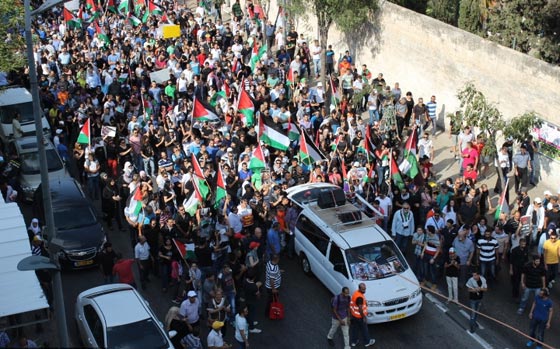 جهود دولية للتوصل الى تهدئة وتظاهرات احتجاجية على مجازر غزة صورة رقم 24
