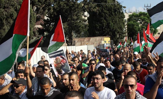 جهود دولية للتوصل الى تهدئة وتظاهرات احتجاجية على مجازر غزة صورة رقم 27