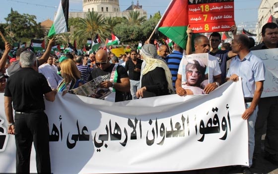 جهود دولية للتوصل الى تهدئة وتظاهرات احتجاجية على مجازر غزة صورة رقم 28