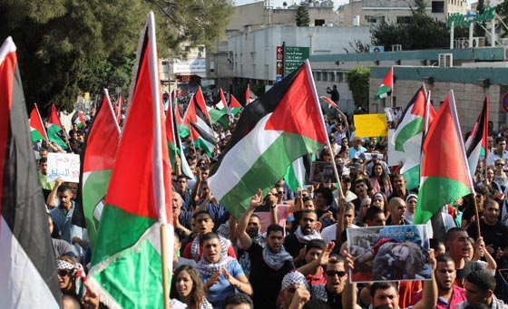 جهود دولية للتوصل الى تهدئة وتظاهرات احتجاجية على مجازر غزة صورة رقم 30