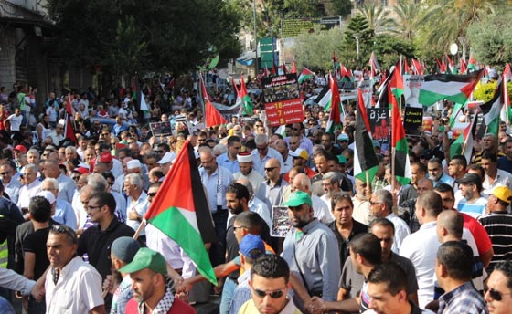 جهود دولية للتوصل الى تهدئة وتظاهرات احتجاجية على مجازر غزة صورة رقم 31