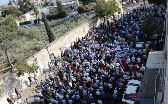 جهود دولية للتوصل الى تهدئة وتظاهرات احتجاجية على مجازر غزة صورة رقم 32