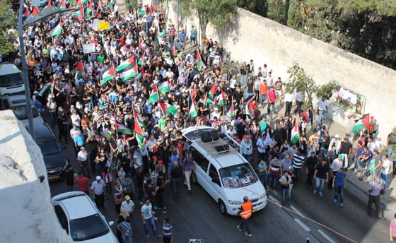 جهود دولية للتوصل الى تهدئة وتظاهرات احتجاجية على مجازر غزة صورة رقم 33