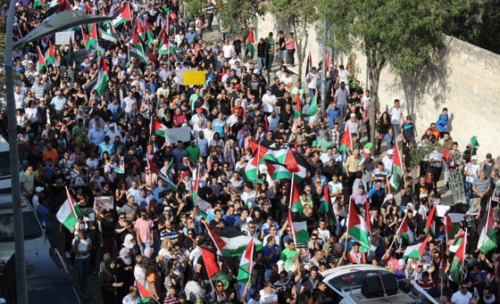 جهود دولية للتوصل الى تهدئة وتظاهرات احتجاجية على مجازر غزة صورة رقم 35