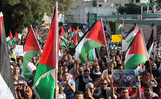 جهود دولية للتوصل الى تهدئة وتظاهرات احتجاجية على مجازر غزة صورة رقم 39