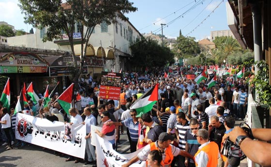 جهود دولية للتوصل الى تهدئة وتظاهرات احتجاجية على مجازر غزة صورة رقم 40