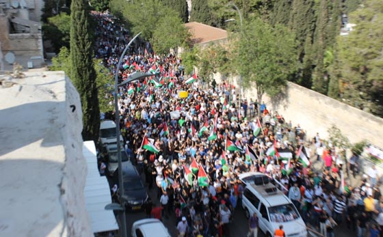 جهود دولية للتوصل الى تهدئة وتظاهرات احتجاجية على مجازر غزة صورة رقم 41