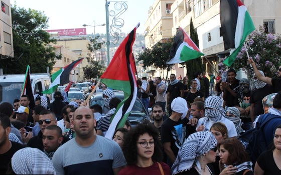 جهود دولية للتوصل الى تهدئة وتظاهرات احتجاجية على مجازر غزة صورة رقم 43