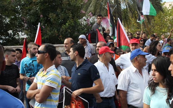 جهود دولية للتوصل الى تهدئة وتظاهرات احتجاجية على مجازر غزة صورة رقم 44