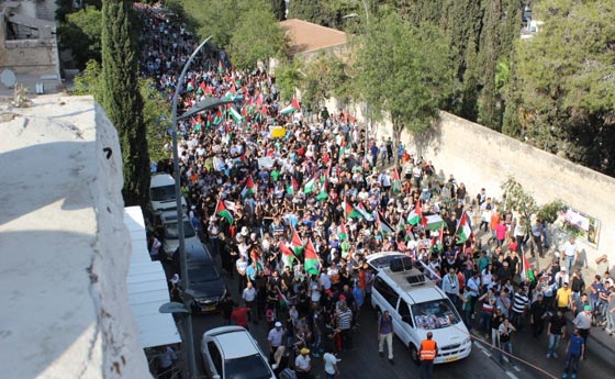 جهود دولية للتوصل الى تهدئة وتظاهرات احتجاجية على مجازر غزة صورة رقم 45