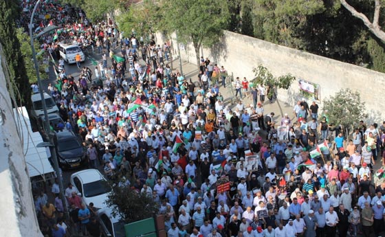 جهود دولية للتوصل الى تهدئة وتظاهرات احتجاجية على مجازر غزة صورة رقم 50