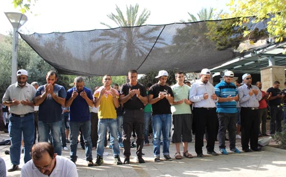 جهود دولية للتوصل الى تهدئة وتظاهرات احتجاجية على مجازر غزة صورة رقم 51