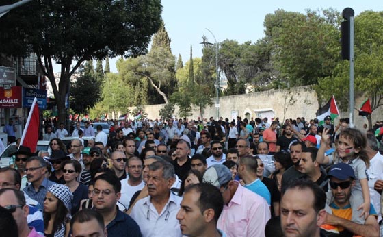 جهود دولية للتوصل الى تهدئة وتظاهرات احتجاجية على مجازر غزة صورة رقم 53
