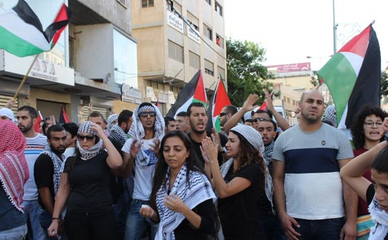 جهود دولية للتوصل الى تهدئة وتظاهرات احتجاجية على مجازر غزة صورة رقم 55