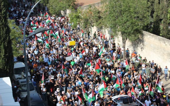 جهود دولية للتوصل الى تهدئة وتظاهرات احتجاجية على مجازر غزة صورة رقم 60