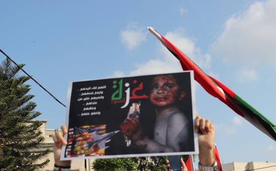 جهود دولية للتوصل الى تهدئة وتظاهرات احتجاجية على مجازر غزة صورة رقم 62