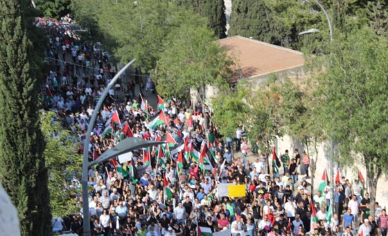 جهود دولية للتوصل الى تهدئة وتظاهرات احتجاجية على مجازر غزة صورة رقم 63