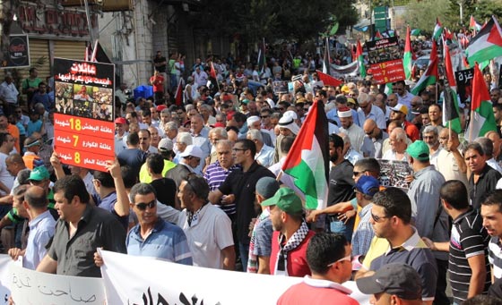 جهود دولية للتوصل الى تهدئة وتظاهرات احتجاجية على مجازر غزة صورة رقم 66