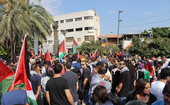 جهود دولية للتوصل الى تهدئة وتظاهرات احتجاجية على مجازر غزة صورة رقم 67