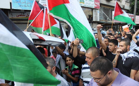 جهود دولية للتوصل الى تهدئة وتظاهرات احتجاجية على مجازر غزة صورة رقم 69