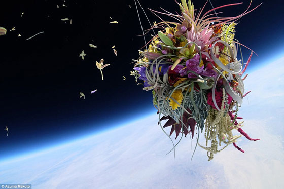صور رائعة: فنان ياباني يرسل نباتات وباقات من الزهور الجميلة الى الفضاء..  صورة رقم 2