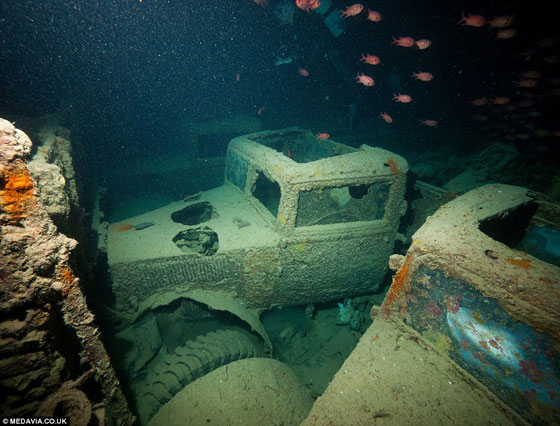 بالفيديو.. كنز من السيارات القديمة في قاع البحر الأحمر صورة رقم 3
