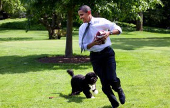 اوباما وبوتين في صحبة الحيوانات.. الاول مع كلب والثاني مع فهد صورة رقم 3