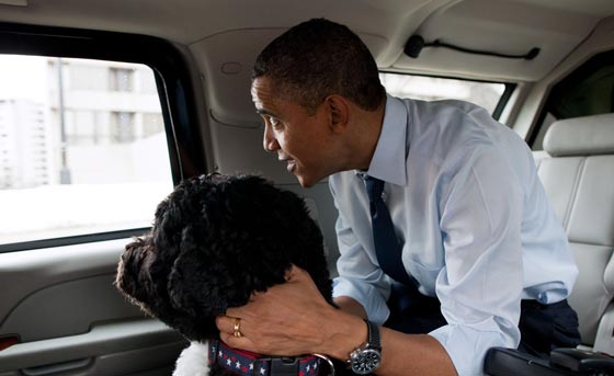 اوباما وبوتين في صحبة الحيوانات.. الاول مع كلب والثاني مع فهد صورة رقم 6
