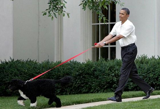 اوباما وبوتين في صحبة الحيوانات.. الاول مع كلب والثاني مع فهد صورة رقم 7