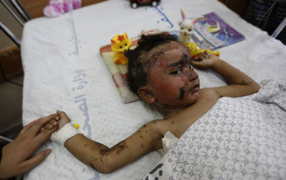 فيديو.. اعلامية أمريكية برسالة لأهالي غزة: أنتم تستحقون الموت  صورة رقم 2