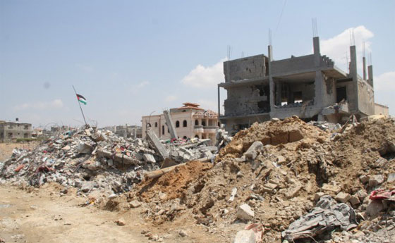 متزوج من 5 نساء واب لـ 40 ابنا و200 حفيد دمرت اسرائيل بيته في غزة صورة رقم 18