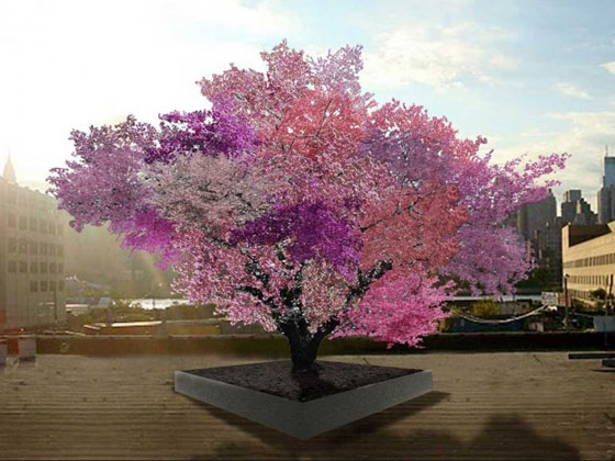 ابتكار شجرة تحمل 40 نوعا من الفواكه.. تعرف عليها بالكلام والصور صورة رقم 1